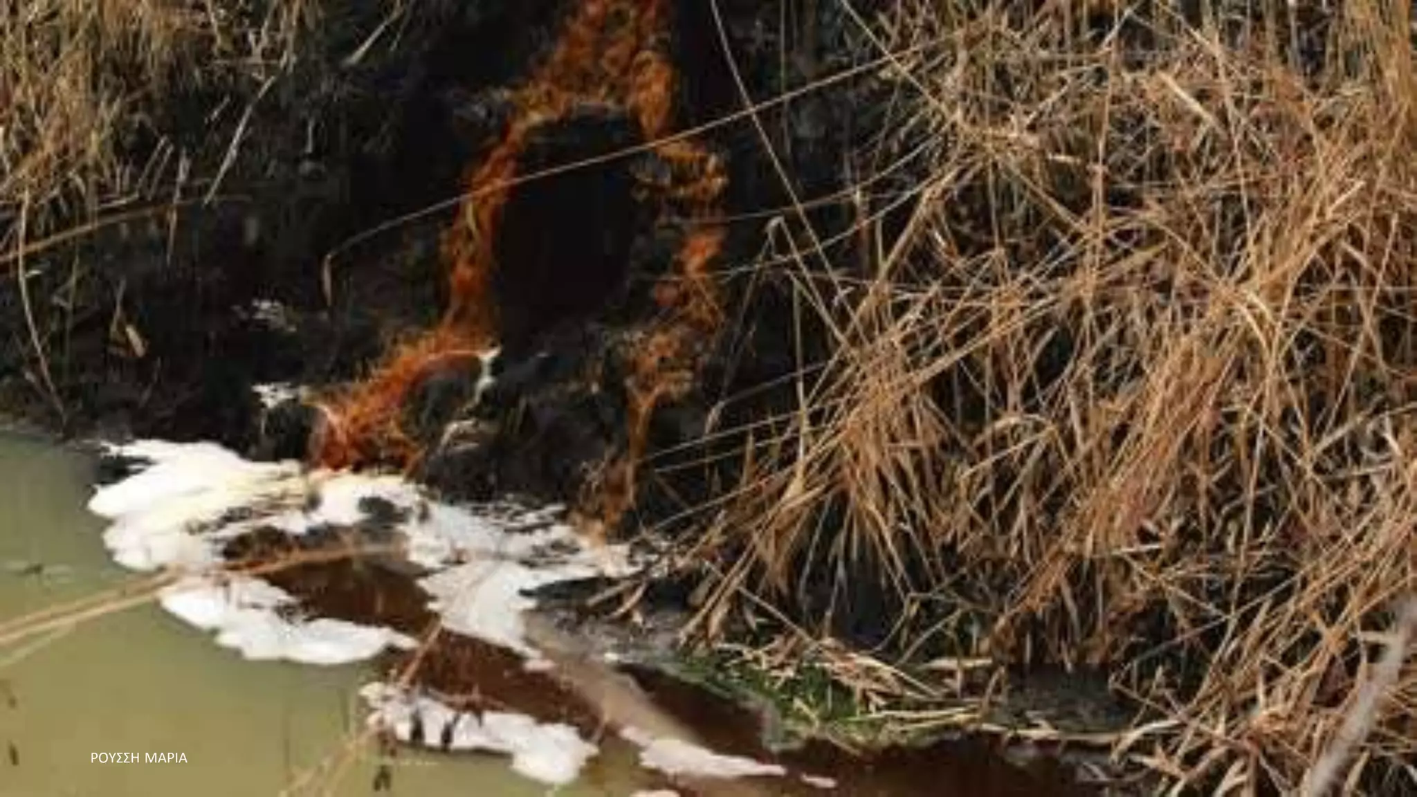 ΡΟΥΣΣΗ ΜΑΡΙΑ
 