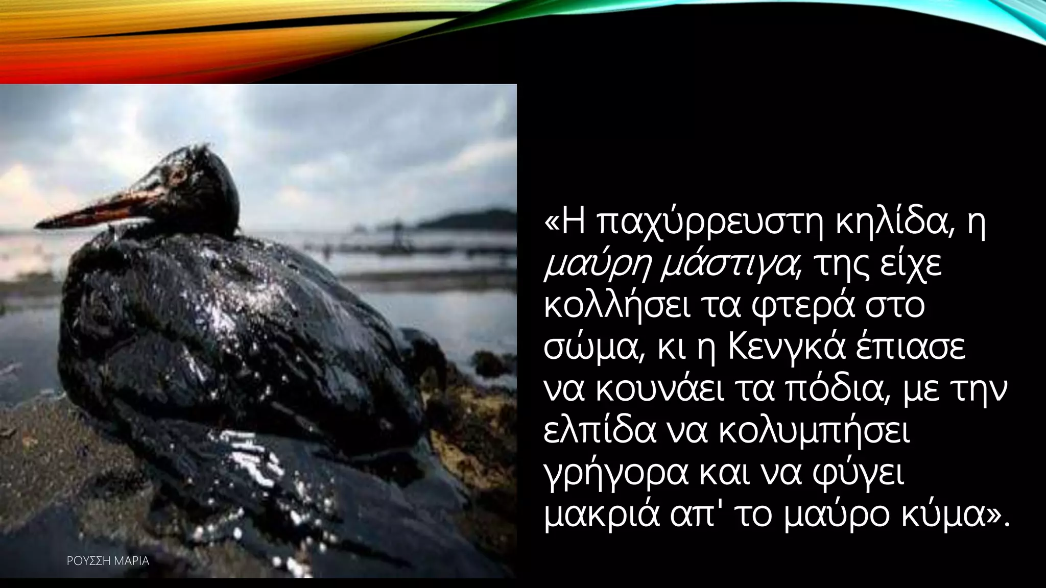 «Η παχύρρευστη κηλίδα, η
μαύρη μάστιγα, της είχε
κολλήσει τα φτερά στο
σώμα, κι η Κενγκά έπιασε
να κουνάει τα πόδια, με την
ελπίδα να κολυμπήσει
γρήγορα και να φύγει
μακριά απ' το μαύρο κύμα».
ΡΟΥΣΣΗ ΜΑΡΙΑ
 
