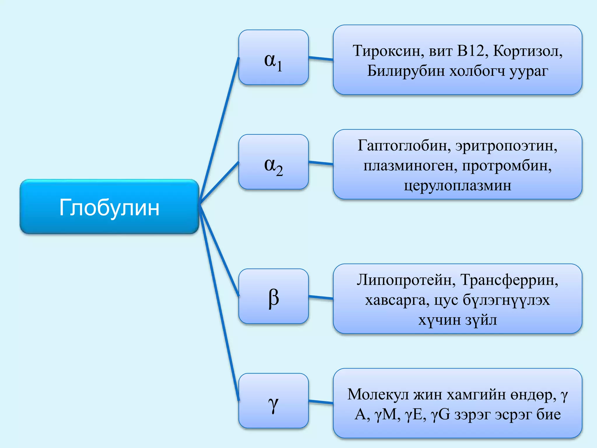 цусны физиологи | PPT