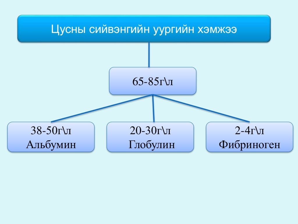 цусны физиологи