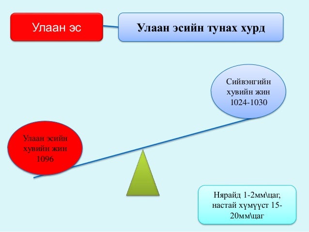 цусны физиологи