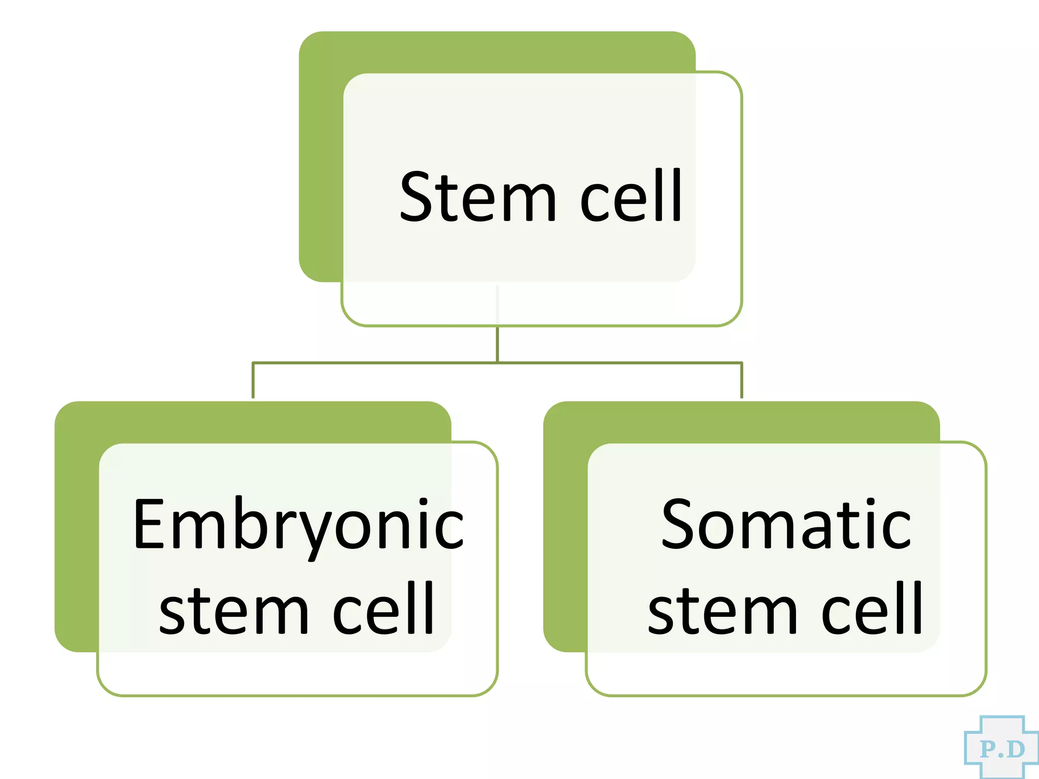 Stem cell
Embryonic
stem cell
Somatic
stem cell
P.D
 