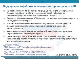 ¨  При	заболеваниях	почек	разной	природы,	в	том	числе	гломерулярных	
(гломерулонефрит,	диабетическая	нефропатия),	наблюдается	
опережающее	развитие	интерстициального	склероза	
¨  Скорость	прогрессирования	ХПН	связана	со	степенью	интерстициального,	а	
не	клубочкового	склероза	
¨  Изолированное	поражение	почечных	клубочков	даже	при		тяжелых	
формах	заболеваний	почек	не	приводит	к	развитию	почечной	
недостаточности	
¨  Уровень	креатинина	находится	в	обратной	зависимости	от	плотности	
перитубулярного	капиллярного	русла		
¨  Связь	между	склерозом	интерстиция,	облитерацией	перитубулярного	
капиллярного	русла	интерстиция	и	уровнем	креатинина	отмечается	и	при	
умеренной	протеинурии	
Данные биопсий
2460 больных с ХГН, диабетической нефропатией
и амилоидозом почек,
772 больных с сосудистыми нефропатиями,
72 больных с интерстициальным нефритом, A, Bohle, et al., 1996
 