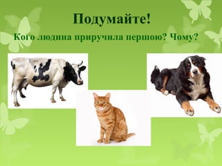 Подумайте!
Кого людина приручила першою? Чому?
Кого людина приручила першою? Чому?
 