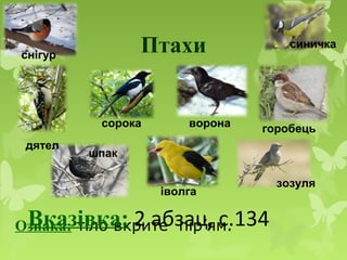 Птахи
Ознака: тіло вкрите пір’ям.
дятел
сорока ворона горобець
іволга
шпак
синичка
зозуля
снігур
Вказівка: 2 абзац, с.134
 