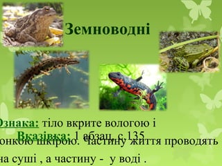 Земноводні
Ознака: тіло вкрите вологою і
онкою шкірою. Частину життя проводять
на суші , а частину - у воді .
Вказівка: 1 абзац, с.135
 