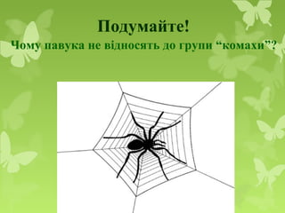 Подумайте!
Чому павука не відносять до групи “комахи”?
Чому павука не відносять до групи “комахи”?
 