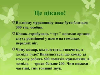 Це цікаво!
В одному мурашнику може бути близько
300 тис. особин.
Коник-стрибунець “ чує ” ногами: органи
слуху розміщені у нього на гомілках
передніх ніг.
Чому комар, коли летить, дзижчить, а
джміль гуде? Виявляється, що комар за
секунду робить 600 помахів крильцями, а
джміль — трохи більше 200. Чим помахи
частіші, тим тонший звук.
 