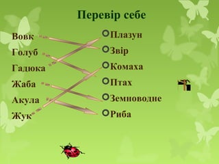 Перевір себе
Вовк
Голуб
Гадюка
Жаба
Акула
Жук
Плазун
Звір
Комаха
Птах
Земноводне
Риба
 