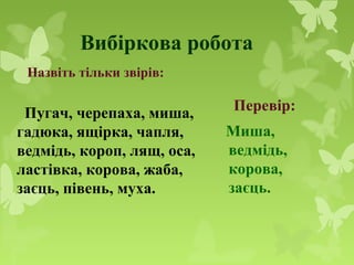 Вибіркова робота
Пугач, черепаха, миша,
гадюка, ящірка, чапля,
ведмідь, короп, лящ, оса,
ластівка, корова, жаба,
заєць, півень, муха.
Назвіть тільки звірів:
Перевір:
Миша,
ведмідь,
корова,
заєць.
 