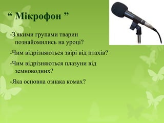 “ Мікрофон ”
-З якими групами тварин
познайомились на уроці?
-Чим відрізняються звірі від птахів?
-Чим відрізняються плазуни від
земноводних?
-Яка основна ознака комах?
 