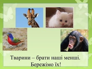 Тварини – брати наші менші.
Бережімо їх!
 