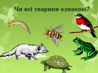 Чи всі тварини однакові?
 