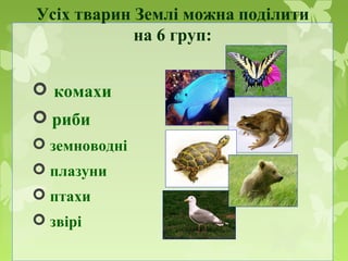 Усіх тварин Землі можна поділити
на 6 груп:
 комахи
 риби
 земноводні
 плазуни
 птахи
 звірі
 