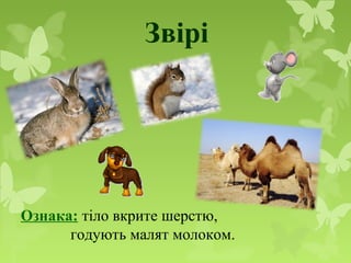 Звірі
Ознака: тіло вкрите шерстю,
годують малят молоком.
 