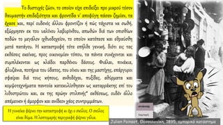 Το δυστυχές ζώον, το οποίον είχε επιδείξει προ μικρού τόσον
θαυμαστήν επιδεξιότητα και φροντίδα ν' αποφύγη πάσαν ζημίαν, τα
έχασε και, περί ουδενός άλλου φροντίζον ή πώς τάχιστα να σωθή,
εξώρμησεν εκ του υαλίνου λαβυρίνθου, απωθών διά των οπισθίων
ποδών το μεγάλον ιχθυοδοχείον, το οποίον κατέπεσε και εθραύσθη
μετά πατάγου. Η καταστροφή τότε επήλθε γενική, διότι εις τας
εκθέσεις εκείνας, προς οικονομίαν τόπου, τα πάντα συνέχονται και
συμπλέκονται ως κλάδοι παρθένου δάσους. Φιάλαι, πινάκια,
φλυζάνια, ποτήρια του ύδατος, του οίνου και της μαστίχης, επάργυροι
σφαίραι διά τους κήπους, ανθοδόχαι, πυξίδες, αθύρματα και
κομψοτεχνήματα παντοία κατεκυλίσθησαν ως καταρράκτης επί του
λιθοστρώτου και, εκ της πρώην στιλπνής* εκθέσεως, ουδέν άλλο
απέμεινεν ή άμορφον και ανίδεον χάος συντριμμάτων.
Julien Poinsot, Θεσσαλονίκη, 1895, εμπορικό κατάστημα
 