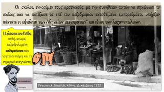 Oι σκύλοι, εννοούμεν τους αρσενικούς, με την συνήθειαν αυτών να σηκώνωσι το
σκέλος και να ποτίζωσι τα επί του πεζοδρομίου εκτεθειμένα εμπορεύματα, υπήρξαν
πάντοτε οι εφιάλται των Αθηναίων μεταπρατών* και ιδίως των λαχανοπωλείων.
Frederick Simpich, Αθήνα, Δεκέμβριος 1922
 