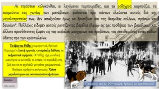 Αι τεράστιαι κολοκύνθαι, αι λεγόμεναι ταμπουράδες, και τα ροδόχροα καρπούζια, τα
κοσμούντα τας γωνίας των μανάβικων, φαίνονται προ πάντων ελκύοντα αυτούς διά της
μεγαλοπρεπείας των, δεν απαξιούσιν όμως να δροσίζωσι και τας δεσμίδας σελίνων, πράσων και
δαυκίων*. Πολλάκις είδομεν αυτούς ραντίζοντας βαρέλια ελαιών εις τας προθήκας των βακάλικων και
άλλοτε προσθέτοντας ζωμόν εις τας κεφαλάς μοσχαρίων και προβάτων, τας εκτεθειμένας εντός κάδων
ύδατος προ των κρεοπωλείων.
Πειραιάς, αρχές 20ου αιώνα, δρόμος με κρεοπωλεία
Το ύφοςτου Ροΐδη: χιουμοριστικό, δηκτικό.
Κυριαρχεί η λεπτή ειρωνεία, η ευτράπελη διάθεση, τα
εκφραστικά ευρήματα. Ο Ροΐδης είχε μοναδική
ικανότητα να εντοπίζει το αστείο, το παράδοξο στη
ζωή και να το σχολιάζει με τρόπο χιουμοριστικό.
Ιδιαίτερα ευχάριστο ανάγνωσμα. Χρήση
μεγαλόστομων καιεντυπωσιακών εκφράσεων.
 