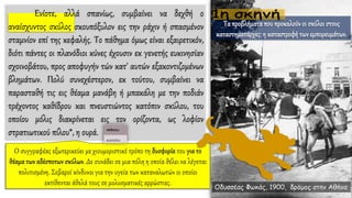 Ενίοτε, αλλά σπανίως, συμβαίνει να δεχθή ο
αναίσχυντος σκύλος σκουπόξυλον εις την ράχιν ή σπασμένον
σταμνίον επί της κεφαλής. Το πάθημα όμως είναι εξαιρετικόν,
διότι πάντες οι πλανόδιοι κύνες έχουσιν εκ γενετής ευκινησίαν
σχοινοβάτου, προς αποφυγήν τών κατ' αυτών εξακοντιζομένων
βλημάτων. Πολύ συνεχέστερον, εκ τούτου, συμβαίνει να
παρασταθή τις εις θέαμα μανάβη ή μπακάλη με την ποδιάν
τρέχοντος καθίδρου και πνευστιώντος κατόπιν σκύλου, του
οποίου μόλις διακρίνεται εις τον ορίζοντα, ως λοφίον
στρατιωτικού πίλου*, η ουρά.
Οδυσσέας Φωκάς, 1900, δρόμος στην Αθήνα
Ταπροβλήματα που προκαλούνοι σκύλοι στους
καταστηματάρχες: η καταστροφή τωνεμπορευμάτων.
 