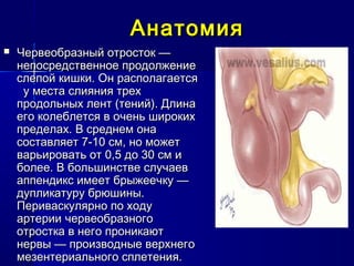 АнатомияАнатомия
 Червеобразный отросток —Червеобразный отросток —
непосредственное продолжениенепосредственное продолжение
слепой кишки. Он располагаетсяслепой кишки. Он располагается
у места слияния треху места слияния трех
продольных лент (тений). Длинапродольных лент (тений). Длина
его колеблется в очень широкихего колеблется в очень широких
пределах. В среднем онапределах. В среднем она
составляет 7-10 см, но можетсоставляет 7-10 см, но может
варьировать от 0,5 до 30 см иварьировать от 0,5 до 30 см и
более. В большинстве случаевболее. В большинстве случаев
аппендикс имеет брыжеечку —аппендикс имеет брыжеечку —
дупликатуру брюшины.дупликатуру брюшины.
Периваскулярно по ходуПериваскулярно по ходу
артерии червеобразногоартерии червеобразного
отростка в него проникаютотростка в него проникают
нервы — производные верхнегонервы — производные верхнего
мезентериального сплетения.мезентериального сплетения.
 