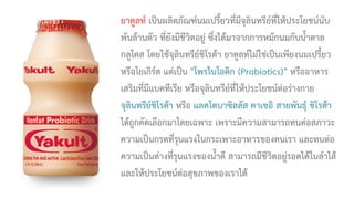 ยาคูลท์ เป็นผลิตภัณฑ์นมเปรี้ยวที่มีจุลินทรีย์ที่ให้ประโยชน์นับ
พันล้านตัว ที่ยังมีชีวิตอยู่ ซึ่งได้มาจากการหมักนมกับน้ำตาล
กลูโคส โดยใช้จุลินทรีย์ชิโรต้า ยาคูลท์ไม่ใช่เป็นเพียงนมเปรี้ยว
หรือโยเกิร์ต แต่เป็น "โพรไบโอติก (Probiotics)" หรืออาหาร
เสริมที่มีแบคทีเรีย หรือจุลินทรีย์ที่ให้ประโยชน์ต่อร่างกาย
จุลินทรีย์ชิโรต้า หรือ แลคโตบาซิลลัส คาเซอิ สายพันธุ์ ชิโรต้า
ได้ถูกคัดเลือกมาโดยเฉพาะ เพราะมีความสามารถทนต่อสภาวะ
ความเป็นกรดที่รุนแรงในกระเพาะอาหารของคนเรา และทนต่อ
ความเป็นด่างที่รุนแรงของน้ำดี สามารถมีชีวิตอยู่รอดได้ในลำไส้
และให้ประโยชน์ต่อสุขภาพของเราได้
 