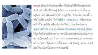 ยาคูลท์ เป็นผลิตภัณฑ์นมเปรี้ยวที่มีจุลินทรีย์ที่ให้ประโยชน์นับ
พันล้านตัว ที่ยังมีชีวิตอยู่ ซึ่งได้มาจากการหมักนมกับน้ำตาล
กลูโคส โดยใช้จุลินทรีย์ชิโรต้า ยาคูลท์ไม่ใช่เป็นเพียงนมเปรี้ยว
หรือโยเกิร์ต แต่เป็น "โพรไบโอติก (Probiotics)" หรืออาหาร
เสริมที่มีแบคทีเรีย หรือจุลินทรีย์ที่ให้ประโยชน์ต่อร่างกาย
จุลินทรีย์ชิโรต้า หรือ แลคโตบาซิลลัส คาเซอิ สายพันธุ์ ชิโรต้า
ได้ถูกคัดเลือกมาโดยเฉพาะ เพราะมีความสามารถทนต่อสภาวะ
ความเป็นกรดที่รุนแรงในกระเพาะอาหารของคนเรา และทนต่อ
ความเป็นด่างที่รุนแรงของน้ำดี สามารถมีชีวิตอยู่รอดได้ในลำไส้
และให้ประโยชน์ต่อสุขภาพของเราได้
 