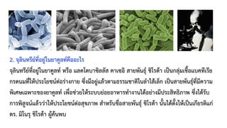 2. จุลินทรีย์ที่อยู่ในยาคูลท์คืออะไร
จุลินทรีย์ที่อยู่ในยาคูลท์ หรือ แลคโตบาซิลลัส คาเซอิ สายพันธุ์ ชิโรต้า เป็นกลุ่มเชื้อแบคทีเรีย
กรดนมที่ให้ประโยชน์ต่อร่างกาย ซึ่งมีอยู่แล้วตามธรรมชาติในลำไส้เล็ก เป็นสายพันธุ์ที่มีความ
พิเศษเฉพาะของยาคูลท์ เพื่อช่วยให้ระบบย่อยอาหารทำงานได้อย่างมีประสิทธิภาพ ซึ่งได้รับ
การพิสูจน์แล้วว่าให้ประโยชน์ต่อสุขภาพ สำหรับชื่อสายพันธุ์ ชิโรต้า นั้นได้ตั้งให้เป็นเกียรติแก่
ดร. มิโนรุ ชิโรต้า ผู้ค้นพบ
 