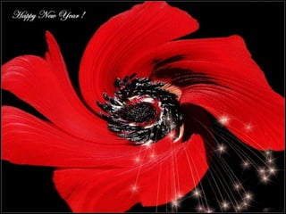 индивидуальный образовательный маршрут