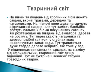  На північ та південь від тропічних лісів лежать
савани, вкриті травами, деревами та
чагарниками. На півночі вони дуже нагадують
африканські савани, але тут замість баобабів
ростуть пальми.У більш посушливих саванах,
які розташовані на південь від екватора, дерева
не ростуть. Тут переважають чагарники та
деревоподібні кактуси, у стеблах яких
накопичується запас води. Тут трапляється
дуже тверде дерево кебраго, яке тоне у воді.
У південноамериканських саванах, на відміну
від африканських, тваринний світ дещо
бідніший. Тут не зустрінеш великих табунів
травоїдних тварин.
 
