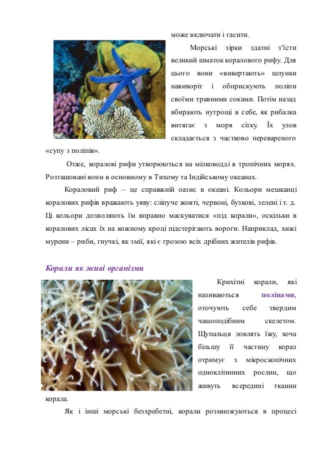Коралові рифи