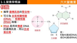 1-1.營養學概論
核酸
 攜帶 遺傳訊息的聚合物。
 可分為 去氧核醣核酸
(DNA) 、 核糖核酸
(RNA) 兩種。
 RNA 是用來傳遞 DNA
的遺傳訊息，用以合成
蛋白質。 註：
R為H(組成DNA)
或OH(組成RNA)
六大營養素
 