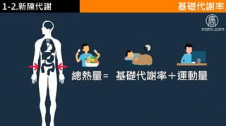 1-1.營養學概論 基礎代謝率1-2.新陳代謝
 