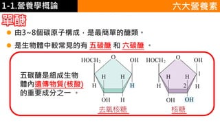 1-1.營養學概論
單醣
 由3~8個碳原子構成，是最簡單的醣類。
 是生物體中較常見的有 五碳醣 和 六碳醣 。
五碳醣是組成生物
體內遺傳物質(核酸)
的重要成分之一 。
六大營養素
 