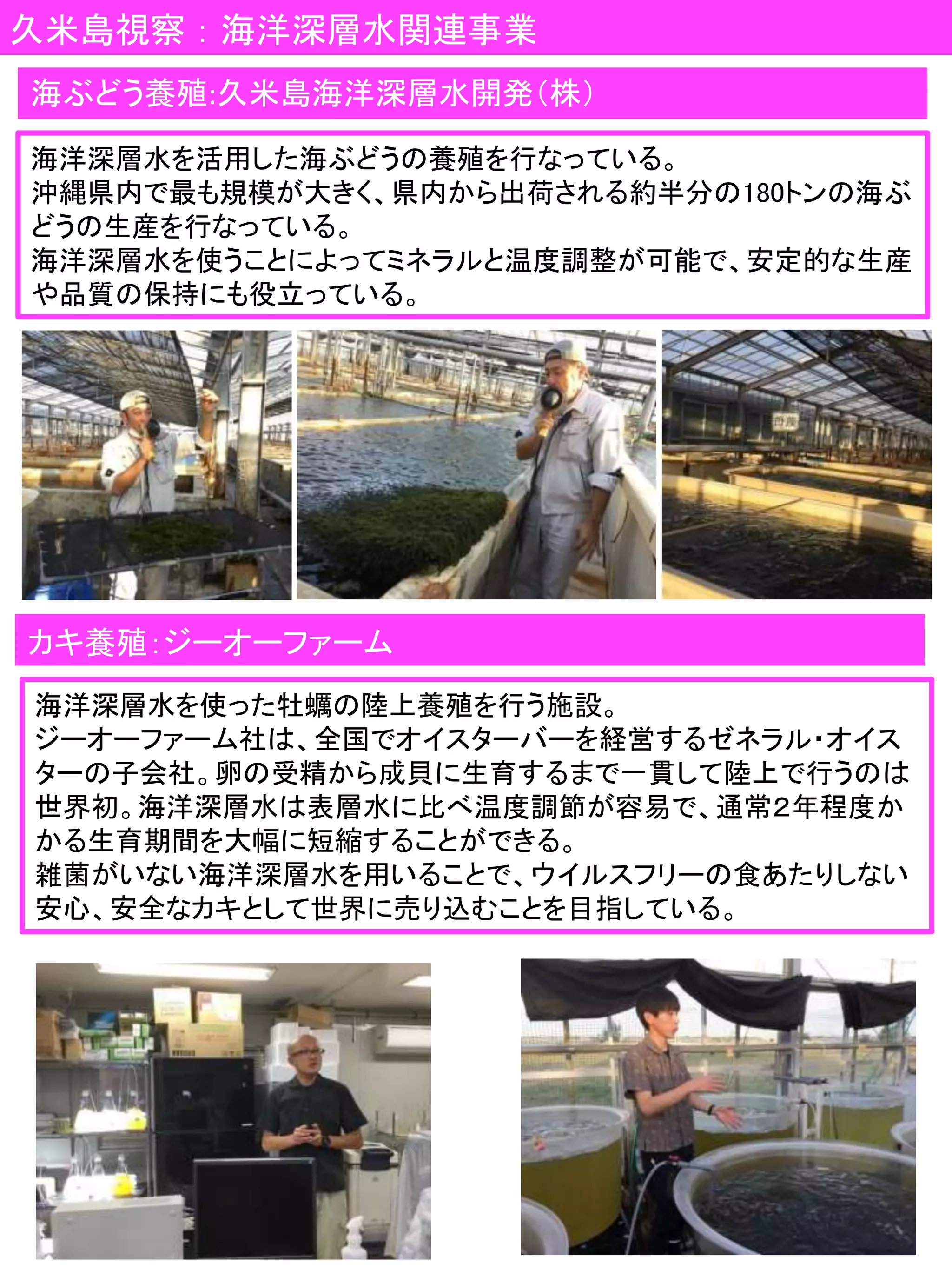 久米島視察：海洋深層水関連事業
海洋深層水を活用した海ぶどうの養殖を行なっている。
沖縄県内で最も規模が大きく、県内から出荷される約半分の180トンの海ぶ
どうの生産を行なっている。
海洋深層水を使うことによってミネラルと温度調整が可能で、安定的な生産
や品質の保持にも役立っている。
海ぶどう養殖:久米島海洋深層水開発（株）
カキ養殖：ジーオーファーム
海洋深層水を使った牡蠣の陸上養殖を行う施設。
ジーオーファーム社は、全国でオイスターバーを経営するゼネラル・オイス
ターの子会社。卵の受精から成貝に生育するまで一貫して陸上で行うのは
世界初。海洋深層水は表層水に比べ温度調節が容易で、通常２年程度か
かる生育期間を大幅に短縮することができる。
雑菌がいない海洋深層水を用いることで、ウイルスフリーの食あたりしない
安心、安全なカキとして世界に売り込むことを目指している。
 