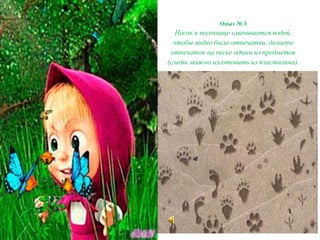 Опыт № 3
Песок в песочнице смачивается водой,
чтобы видно было отпечатки, делаете
отпечаток на песке одним из предметов
(следы можно изготовить из пластилина).
 