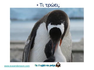 •
www.eveandersson.com
 