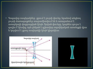 • Գոգավոր ոսպնյակներ ցրում է լույսի փունջ, նրանով անցնող
լույսի ճառագայթներ տարամիտվում են և առաջանում է
առարկայի փոքրացված կեղծ։ Ցրված փունջը, կարծես դուրս է
գալիս F կետից, որն ընկած է գլխավոր օպտիկական առանցքի վրա
և կոչվում է ցրող ոսպնյակի կեղծ կիզակետ։
 