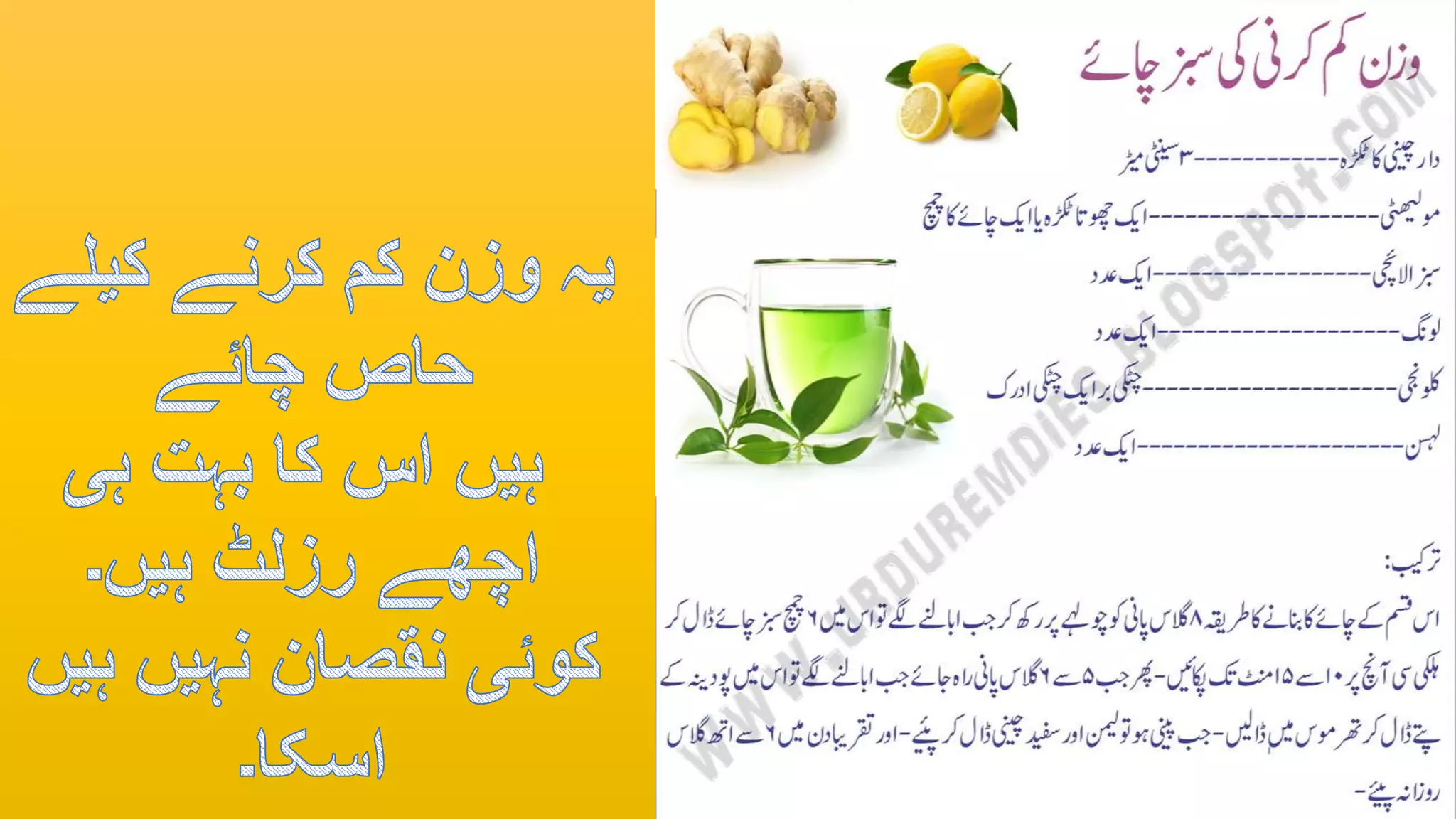 Lose In Urdu