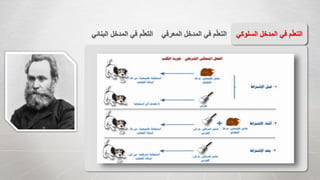 ‫المع‬ ‫المدخل‬ ‫في‬ ‫م‬ّ‫ل‬‫التع‬‫رفي‬‫الب‬ ‫المدخل‬ ‫في‬ ‫م‬ّ‫ل‬‫التع‬‫نائي‬ ‫السل‬ ‫المدخل‬ ‫في‬ ‫م‬ّ‫ل‬‫التع‬‫وكي‬
 