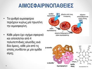 • Τα ερυθρά αιμοσφαίρια
περιέχουν κυρίως μία πρωτεΐνη
την αιμοσφαιρίνη.
• Κάθε μόριο έχει σχήμα σφαιρικό
και αποτελείται από 4
πολυπεπτιδικές αλυσίδες ανά
δύο όμοιες, κάθε μία από τις
οποίες συνδέεται με μία ομάδα
αίμης.
ΑΙΜΟΣΦΑΙΡΙΝΟΠΑΘΕΙΕΣ
 