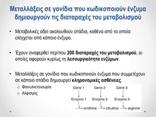 Μεταλλάξεις σε γονίδια που κωδικοποιούν ένζυμα
δημιουργούν τις διαταραχές του μεταβολισμού
• Μεταβολικές οδοί ακολουθούν στάδια, καθένα από τα οποία
ελέγχεται από κάποιο ένζυμο.
• Έχουν αναφερθεί περίπου 200 διαταραχές του μεταβολισμού, οι
οποίες αφορούν κυρίως τη λειτουργικότητα ενζύμων.
• Μεταλλάξεις σε γονίδια που κωδικοποιούν ένζυμα που συμμετέχουν
σε κάποιο στάδιο δημιουργεί κληρονομικές ασθένειες.
o Φαινυλκετονουρία
o Αλφισμός
 