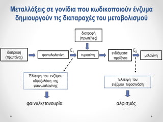 διατροφή
(πρωτεΐνες)
φαινυλαλανίνη τυροσίνη
διατροφή
(πρωτεΐνες)
Ε1
ενδιάμεσα
προϊόντα
μελανίνη
Ε2
Έλλειψη του ενζύμου
υδροξυλάση της
φαινυλαλανίνης
Έλλειψη του
ενζύμου τυροσινάση
φαινυλκετονουρία αλφισμός
Μεταλλάξεις σε γονίδια που κωδικοποιούν ένζυμα
δημιουργούν τις διαταραχές του μεταβολισμού
 
