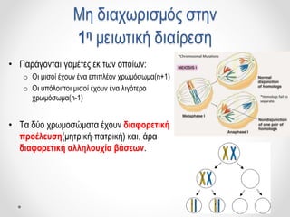 Μη διαχωρισμός στην
1η μειωτική διαίρεση
• Παράγονται γαμέτες εκ των οποίων:
o Οι μισοί έχουν ένα επιπλέον χρωμόσωμα(n+1)
o Οι υπόλοιποι μισοί έχουν ένα λιγότερο
χρωμόσωμα(n-1)
• Τα δύο χρωμοσώματα έχουν διαφορετική
προέλευση(μητρική-πατρική) και, άρα
διαφορετική αλληλουχία βάσεων.
 