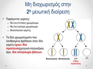 • Παράγονται γαμέτες:
o Με ένα επιπλέον χρωμόσωμα
o Με ένα λιγότερο χρωμόσωμα
o Φυσιολογικοί γαμέτες
• Τα δύο χρωμοσώματα που
λανθασμένα βρέθηκαν στον ίδιο
γαμέτη έχουν ίδια
προέλευση(μητρική-πατρική)και,
άρα, ίδια αλληλουχία βάσεων.
Μη διαχωρισμός στην
2η μειωτική διαίρεση
Φυσιολογικός Φυσιολογικός n+1
2 ίδιας
προέλευσης
n-1
 