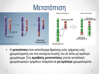 Μετατόπιση
• Η μετατόπιση είναι αποτέλεσμα θραύσης ενός τμήματος ενός
χρωμοσώματος και στη συνέχεια ένωσής του σε άλλο μη ομόλογο
χρωμόσωμα. Στις αμοιβαίες μετατοπίσεις γίνεται ανταλλαγή
χρωμοσωμικών τμημάτων ανάμεσα σε μη ομόλογα χρωμοσώματα.
 