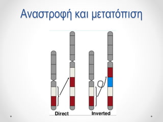 Αναστροφή και μετατόπιση
 