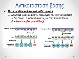 Αντικατάσταση βάσης
a. Η νέα τριπλέτα κωδικοποιεί το ίδιο αμινοξυ
o Συνώνυμα κωδικόνια (λόγω εκφυλισμού του γενετικού κώδικα)
 Δεν αλλάζει η ακολουθία αμινοξέων στην πολυπεπτιδική
αλυσίδα (σιωπηλές μεταλλάξεις).
 