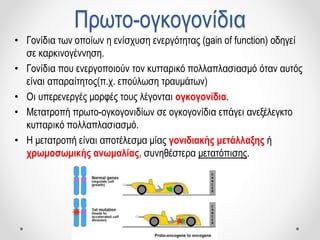 Πρωτο-ογκογονίδια
• Γονίδια των οποίων η ενίσχυση ενεργότητας (gain of function) οδηγεί
σε καρκινογέννηση.
• Γονίδια που ενεργοποιούν τον κυτταρικό πολλαπλασιασμό όταν αυτός
είναι απαραίτητος(π.χ. επούλωση τραυμάτων)
• Οι υπερενεργές μορφές τους λέγονται ογκογονίδια.
• Μετατροπή πρωτο-ογκογονιδίων σε ογκογονίδια επάγει ανεξέλεγκτο
κυτταρικό πολλαπλασιασμό.
• Η μετατροπή είναι αποτέλεσμα μίας γονιδιακής μετάλλαξης ή
χρωμοσωμικής ανωμαλίας, συνηθέστερα μετατόπισης.
 