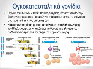 Ογκοκατασταλτικά γονίδια
• Γονίδια που ελέγχουν την κυτταρική διαίρεση, καταστέλλοντας την,
όταν είναι απαραίτητο (μπορούν να παρομοιαστούν με το φρένο στο
σύστημα πέδησης του αυτοκινήτου).
• Η αναστολή της δράσης τους, αποτέλεσμα μετάλλαξης(έλλειψης
γονιδίου), αφαιρεί από το κύτταρο τη δυνατότητα ελέγχου του
πολλαπλασιασμού του και οδηγεί σε καρκινογέννηση.
 