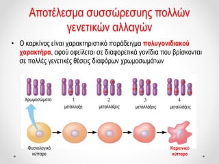 Αποτέλεσμα συσσώρεσυης πολλών
γενετικών αλλαγών
• Ο καρκίνος είναι χαρακτηριστικό παράδειγμα πολυγονιδιακού
χαρακτήρα, αφού οφείλεται σε διαφορετικά γονίδια που βρίσκονται
σε πολλές γενετικές θέσεις διαφόρων χρωμοσωμάτων
Χρωμοσώματα
μετάλλαξη
1 2 3 4
μεταλλάξεις μεταλλάξεις μεταλλάξεις
Φυσιολογικό
κύτταρο
Καρκινικό
κύτταρο
 